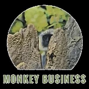 A Little Monkey Business logo
